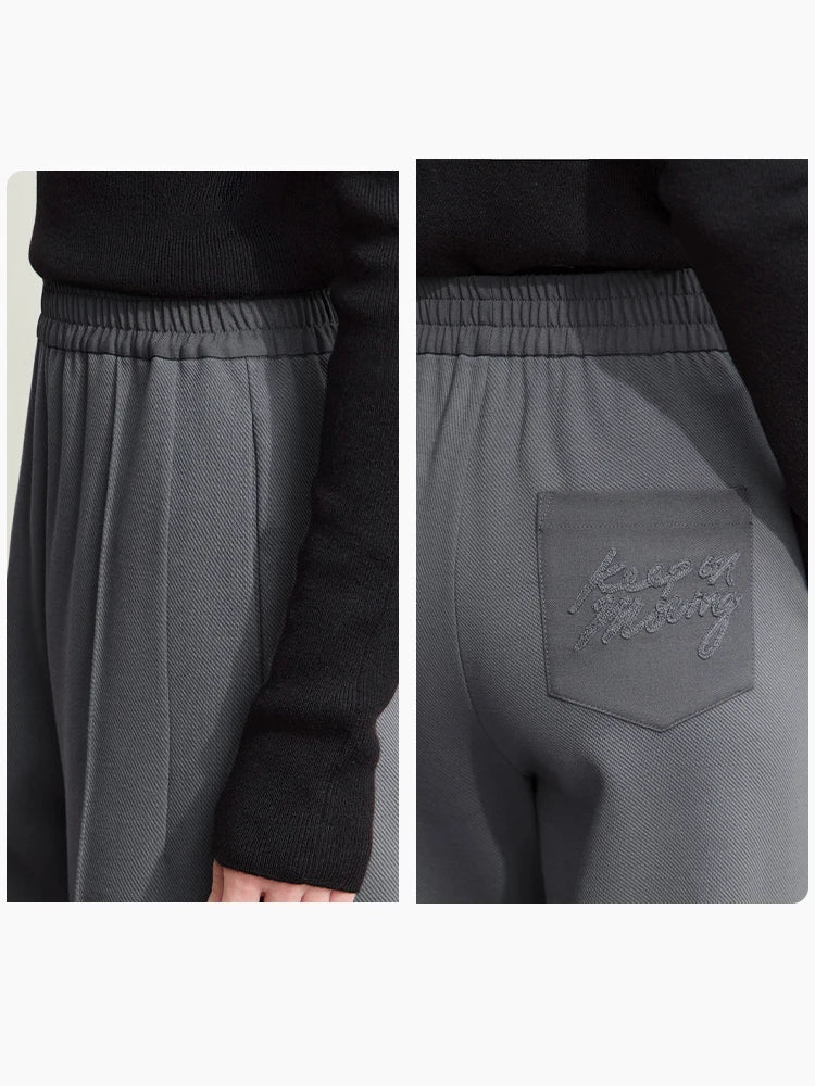 Women's Straight Pleated Pants - Minimalist Elastic Waist Casual Wear